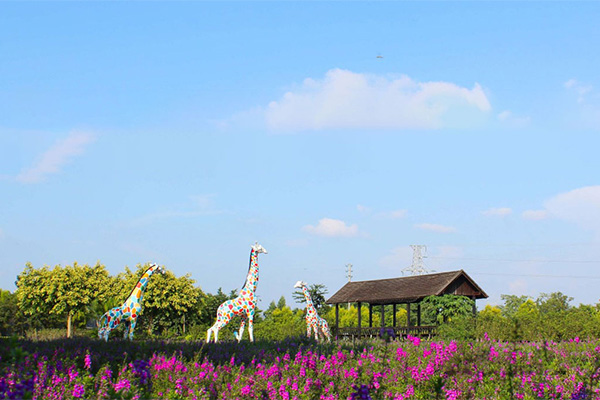 广州花都香草世界拓展培训基地